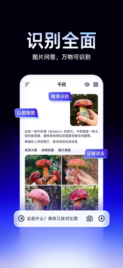 Qwen AI app interface showing image recognition and visual search for a mushroom with detailed explanations