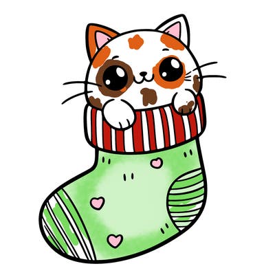 cute cat in a sock