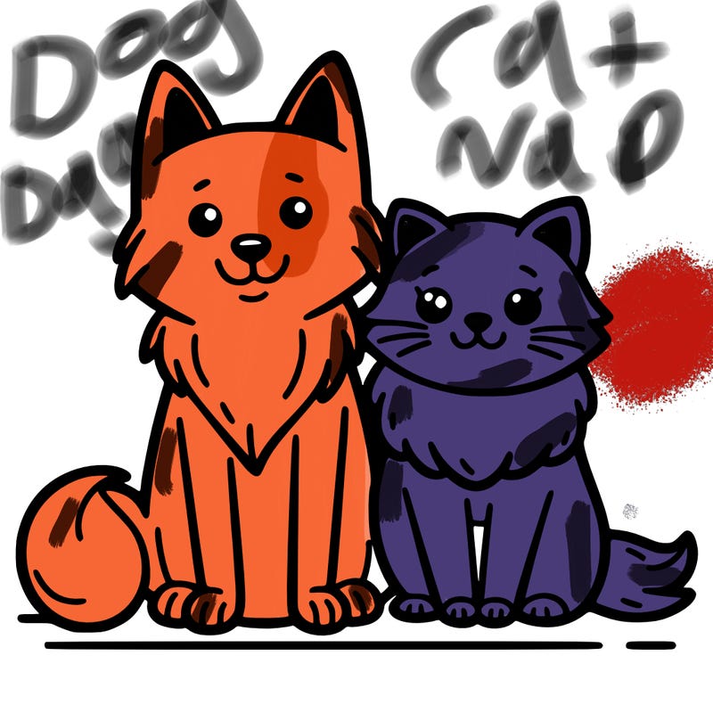.cat and dog