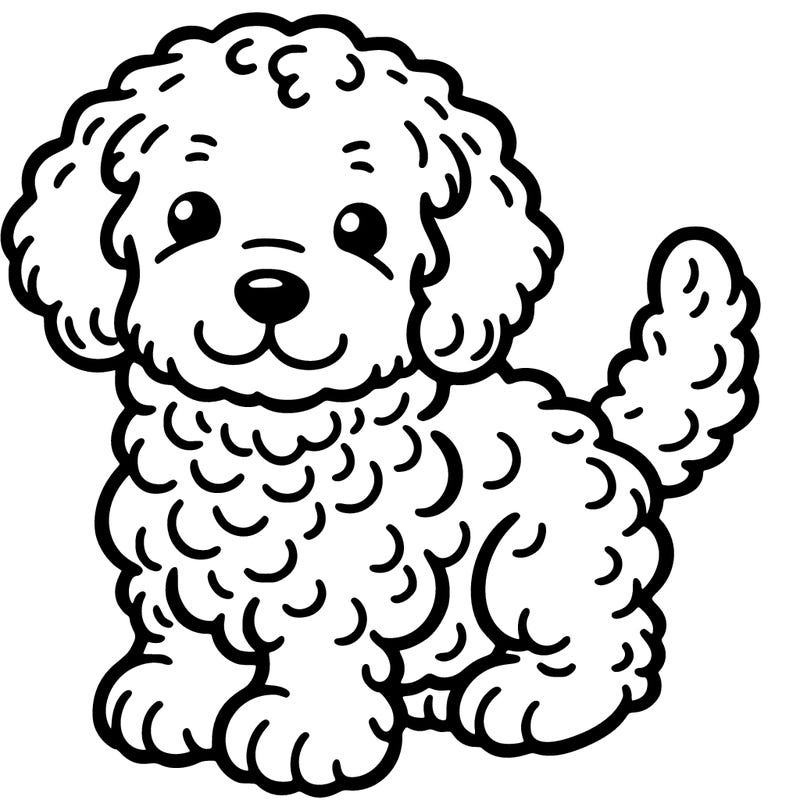 cute puppy golden doodle