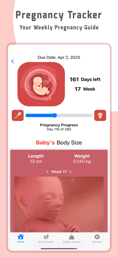 DueDate:Pregnancy week by week - Interfaz de la aplicación DueDate que muestra el seguimiento del embarazo para la semana 17 con detalles del crecimiento fetal y tamaño del bebé