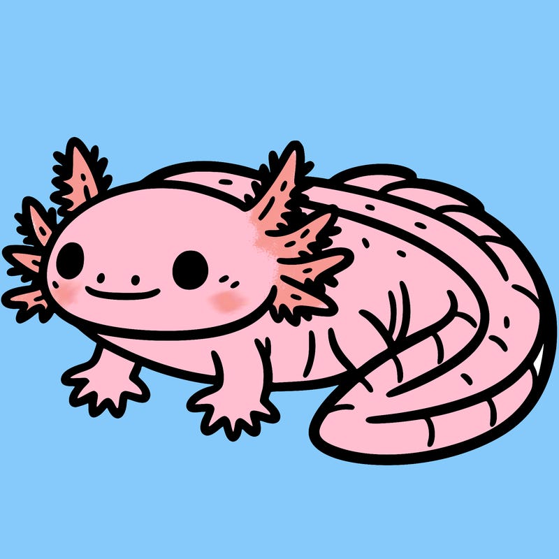 axolotl