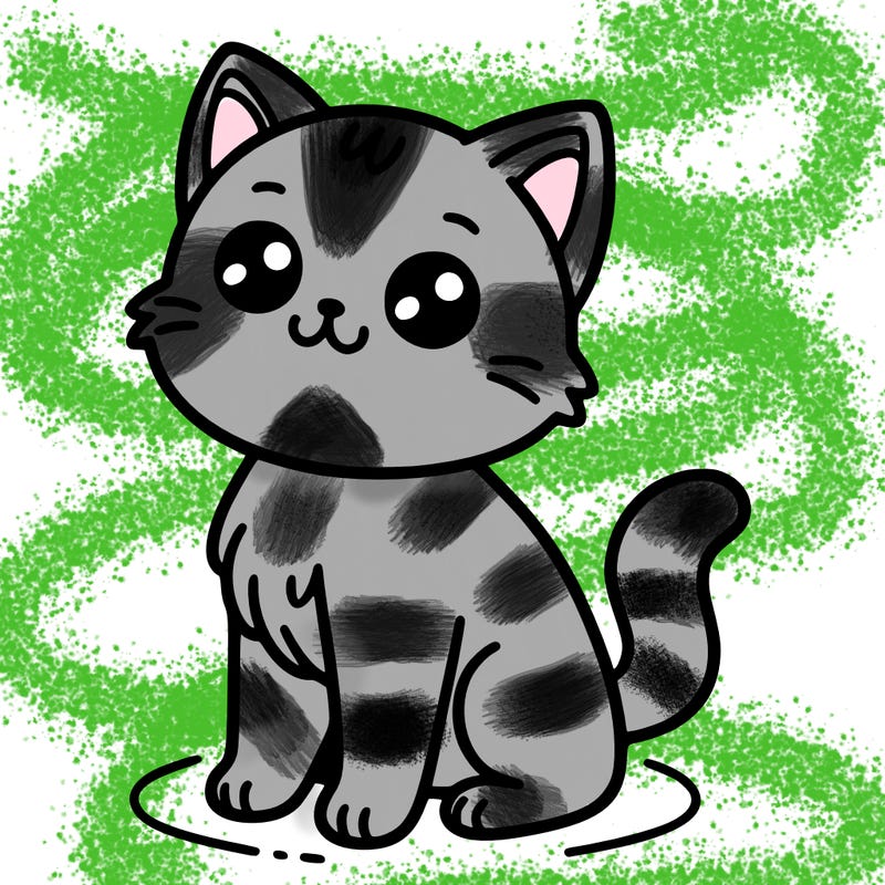cat