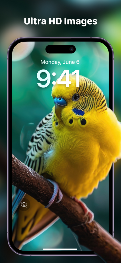 iPhone-Sperrbildschirm mit einem hochwertigen 4K-Hintergrundbild eines lebendigen gelben Wellensittichs mit Tiefeffekt