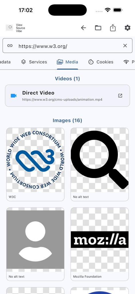 View Source Vibe - Interfaz de la aplicación View Source Vibe mostrando una lista de imágenes y videos inspeccionados de un sitio web.