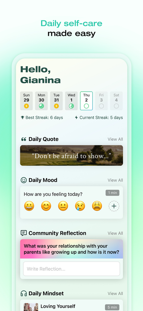 MINDSET by DIVE Studios - Dashboard of the MINDSET app showing daily wellness streaks and mood tracker