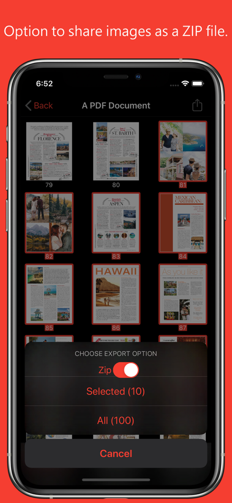PDF to JPG - Converter - PDF to JPG App, die Exportoptionen zum Teilen konvertierter Bilder als ZIP-Datei anzeigt