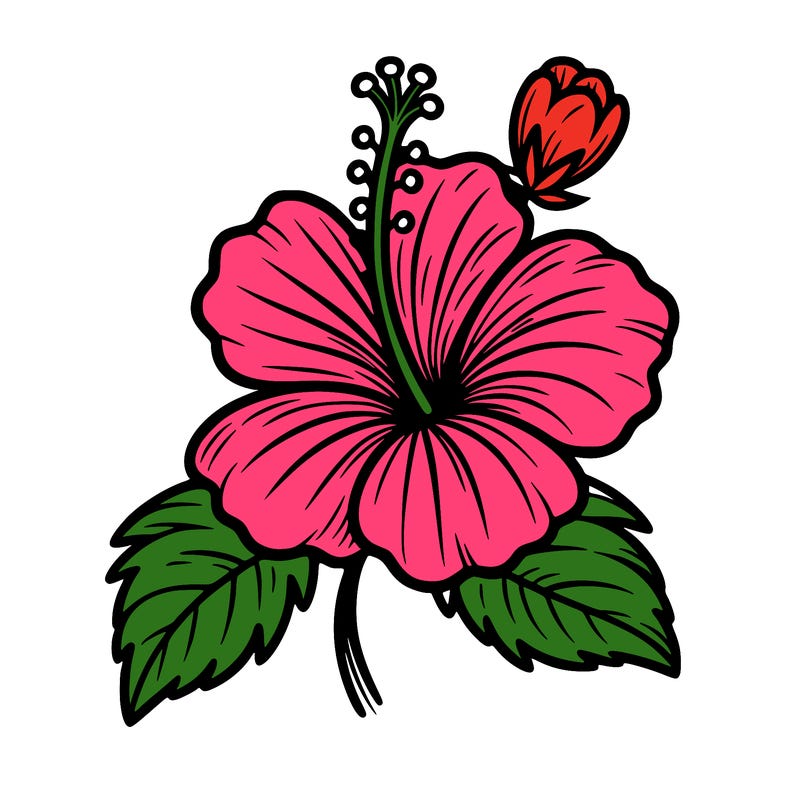 hibiscus flower
