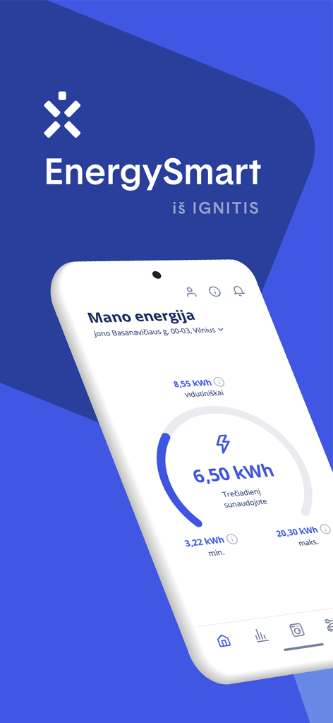 Ignitis EnergySmart app dashboard displaying home energy usage and kilowatt hours consumed on a smartphone screen