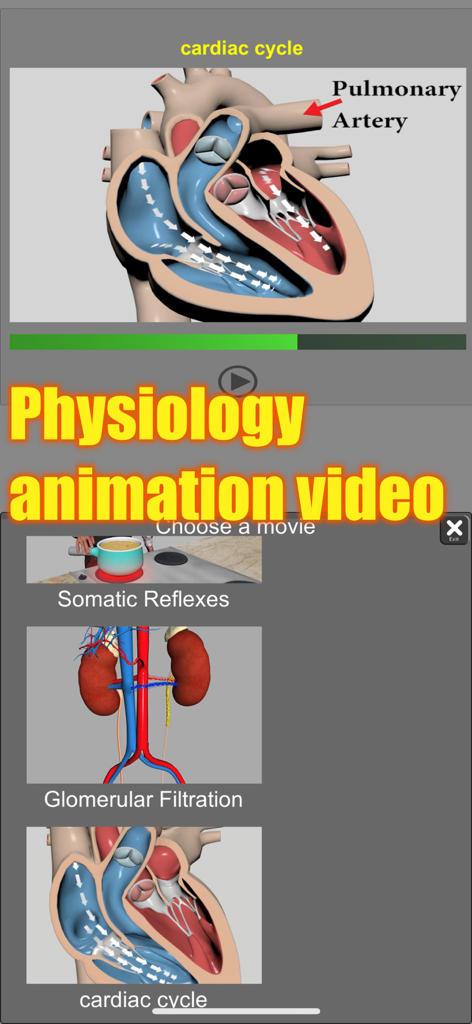 Video de animación de fisiología del ciclo cardíaco en la aplicación 3D Anatomy.
