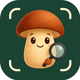 Mushroom Identifier: FungiSnap