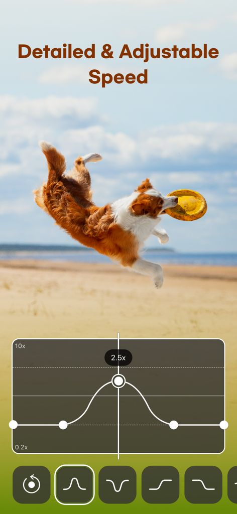 VDIT - Video Maker & Editor - VDIT video editor interface showing detailed speed adjustment curves with a dog catching a frisbee in the background