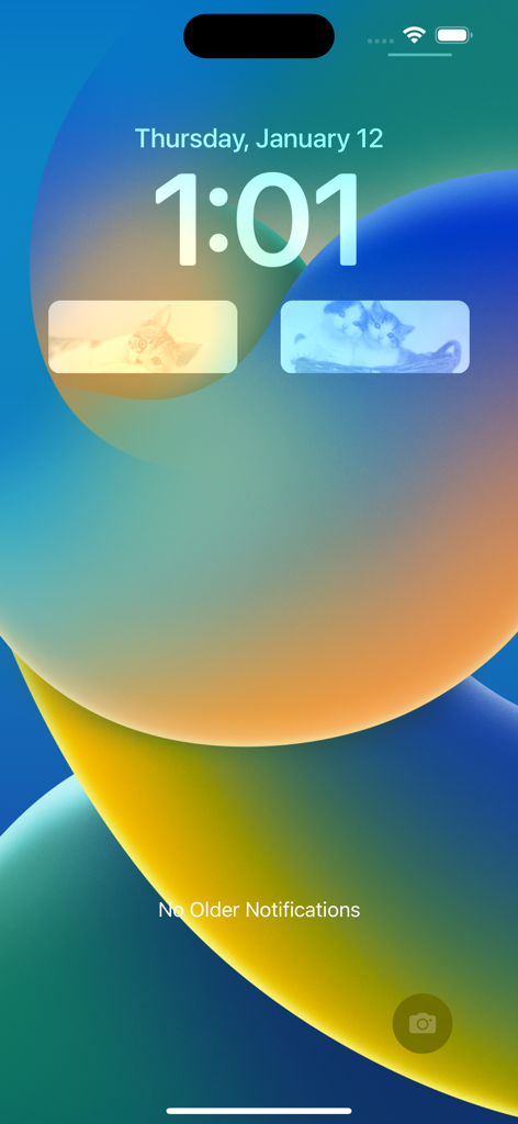iPhone lock screen featuring two aesthetic photo widgets showing cats