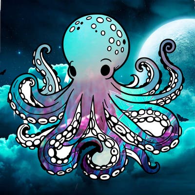 octopus