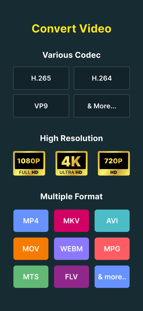 Video Converter and Compressor - 4KやMP4などのコーデック、形式、解像度のさまざまな動画変換オプションが表示されたメニュー