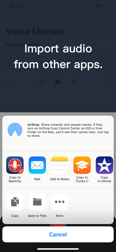 Voice Dictation - Speechy Lite - iOS共有シート。Speechy Liteアプリへの音声ファイルのインポートオプションを表示。