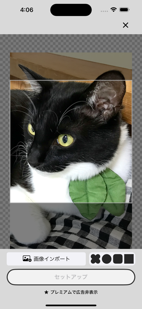 Oberfläche, die zeigt, wie ein Katzenfoto in die Dot Marker App zur Pixelkunstkonvertierung importiert wird.