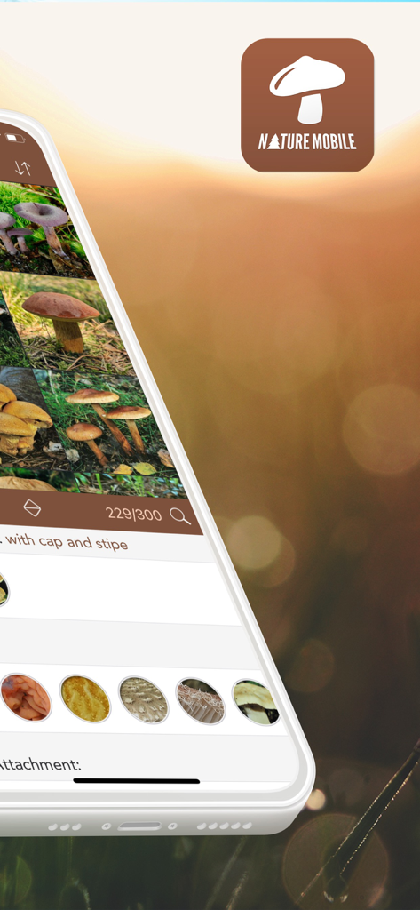 Mushrooms PRO - Hunting Safe - 識別のためのさまざまなキノコ種のギャラリーを表示するMushrooms PROアプリのインターフェース