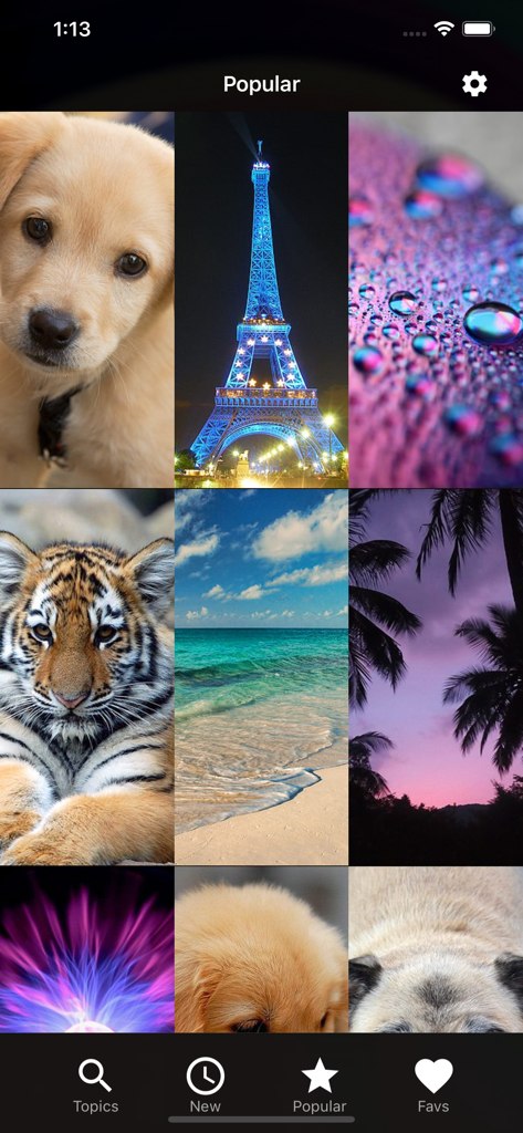 Wallpapers HD for iPhone! - Una colección de fondos de pantalla de alta definición para iPhone, incluyendo fotos de un cachorro, la Torre Eiffel y un tigre.