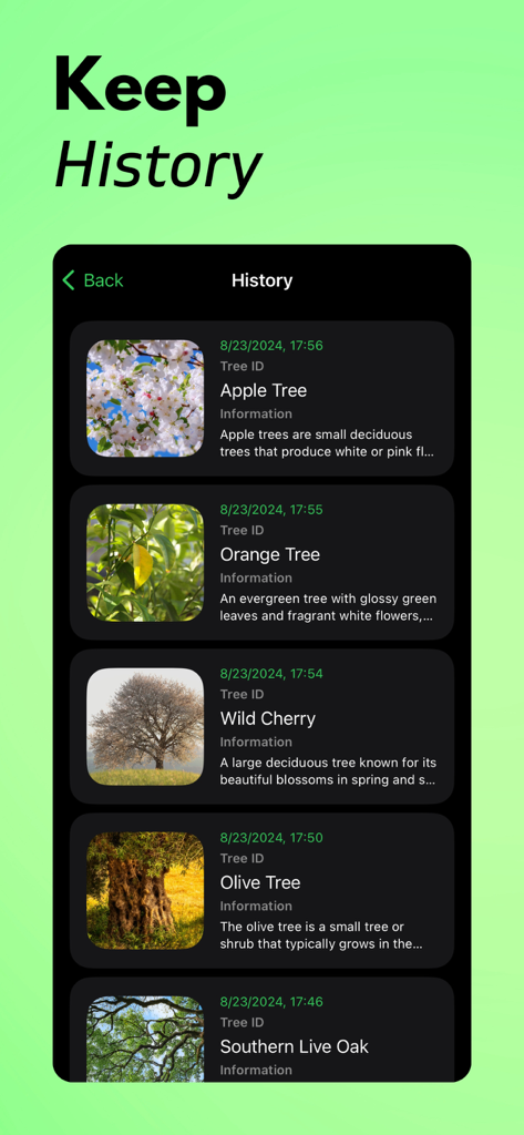Tela de histórico de identificação de árvores mostrando uma lista de espécies de árvores salvas com datas e fotos