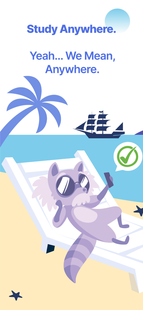 Cartoon raccoon mascot lounging on a beach chair and studying with the app