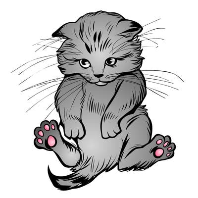 animals_20