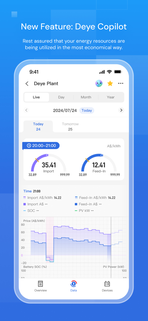 Deye Cloud app screenshot showing the Deye Copilot feature with energy plant import and feed-in data charts
