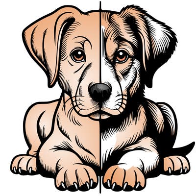 realistic dog split picture