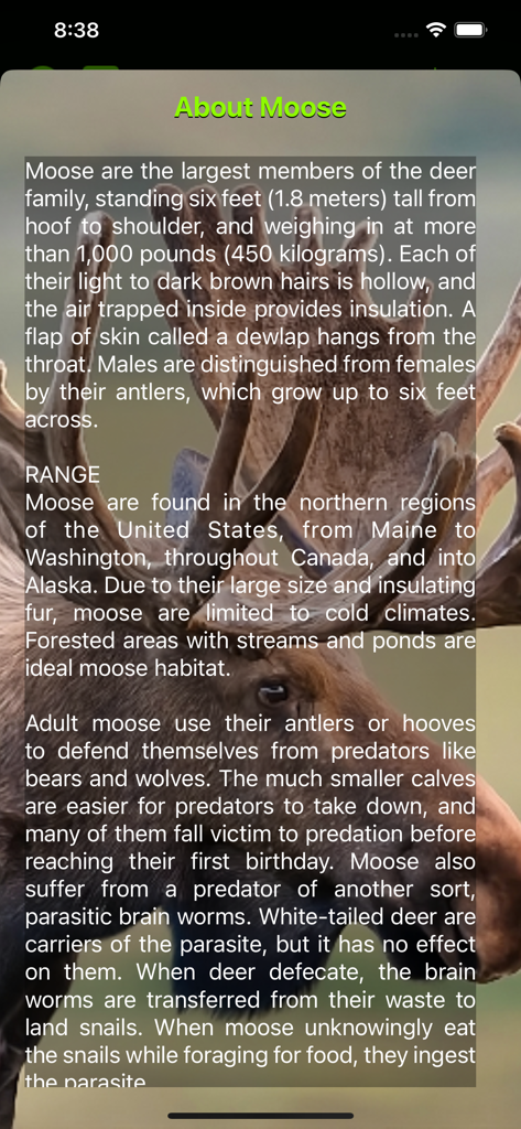 Moose Hunting Calls App - Tela de informações sobre as características e o alcance do alce