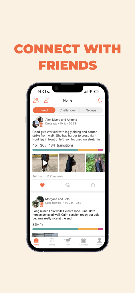 Equilab app home screen showing a social feed of horse riding activities and friend connections