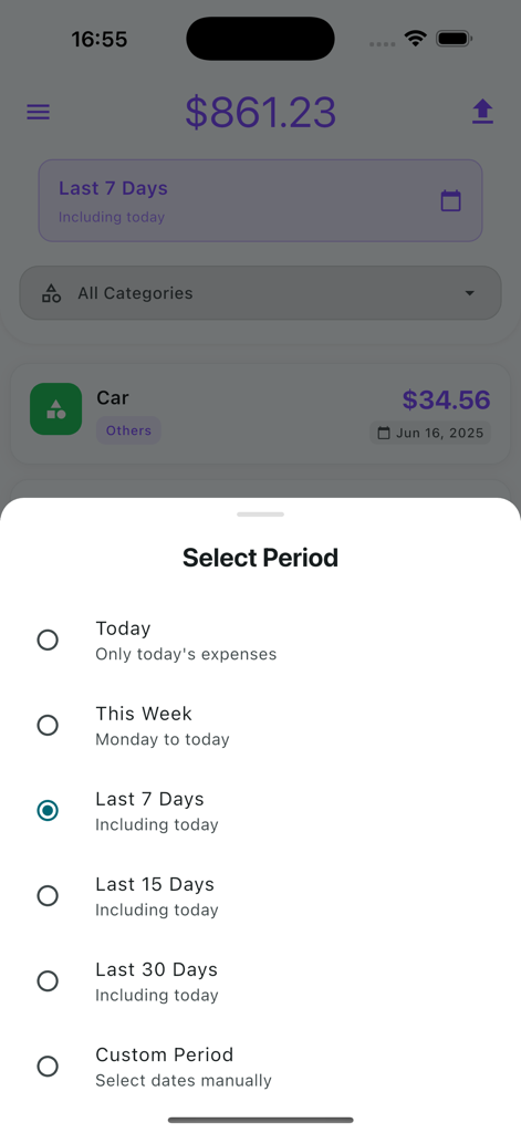 Daily Expense Tracker - Daily Expense Tracker interface showing a menu to select time periods such as Today or Last 7 Days