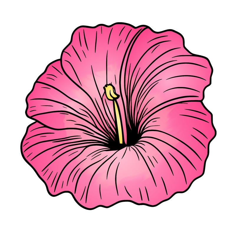 hibiscus flower