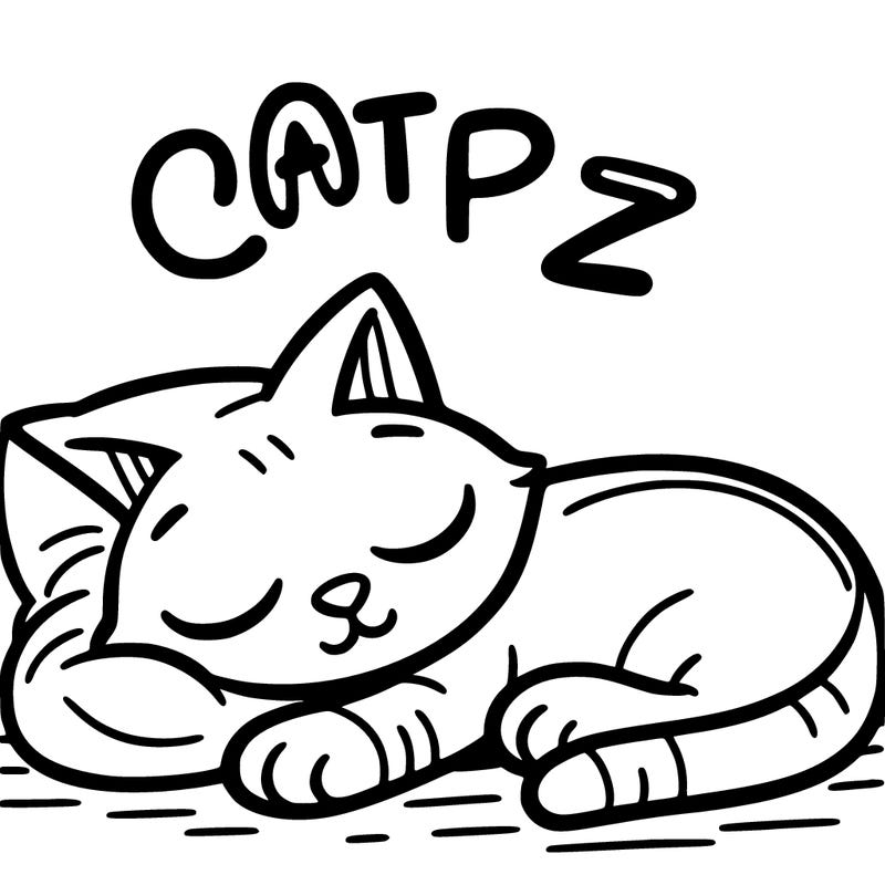 catnap