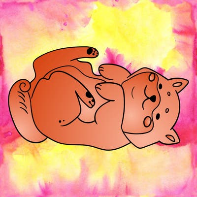 animals_30