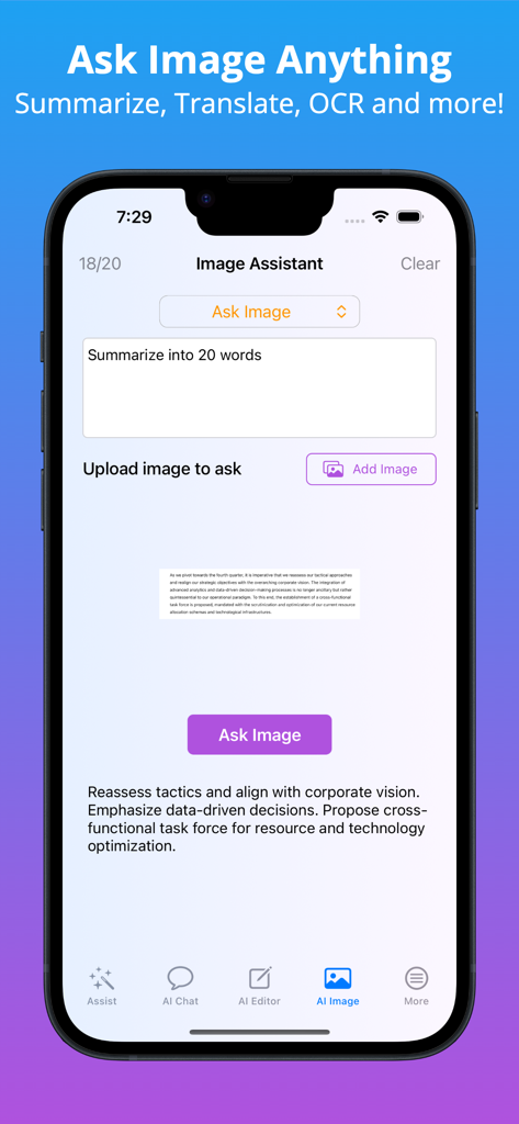 WorkGPT AI Copilot - WorkGPT AI Copilot app interface showing the Image Assistant feature for summarizing text from an image