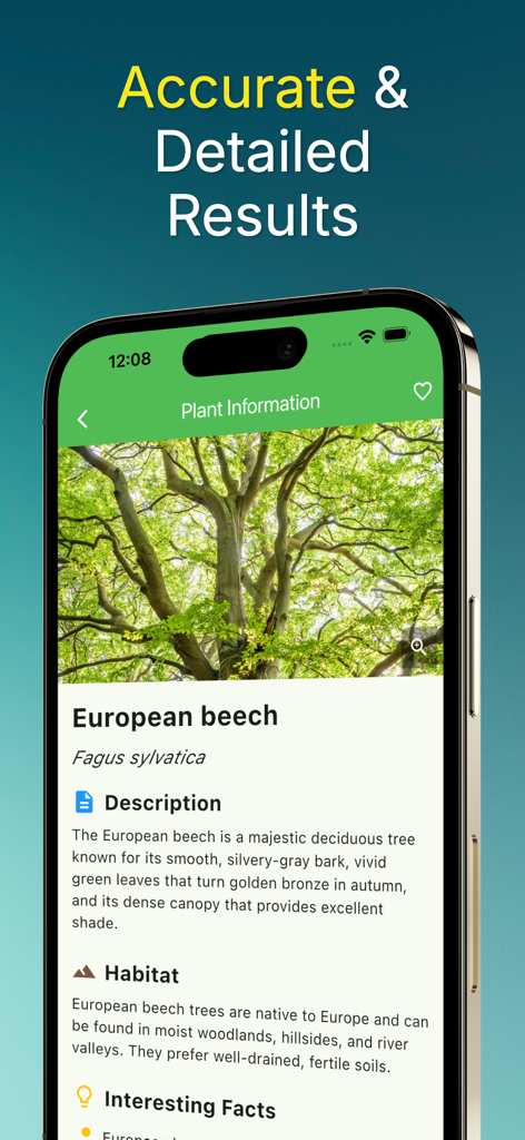 Leaf identification - Plantree - Plantree app showing detailed identification results for a European beech tree.