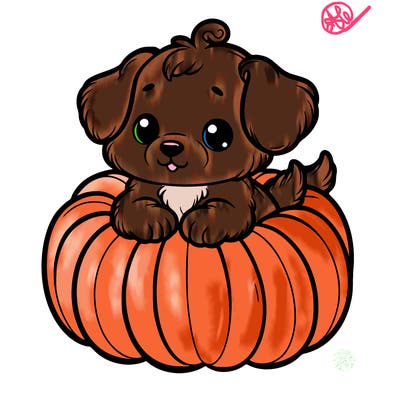cute little puppy in a pumpkin