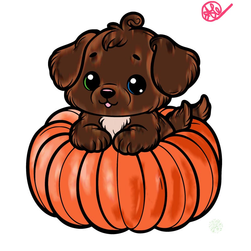 cute little puppy in a pumpkin