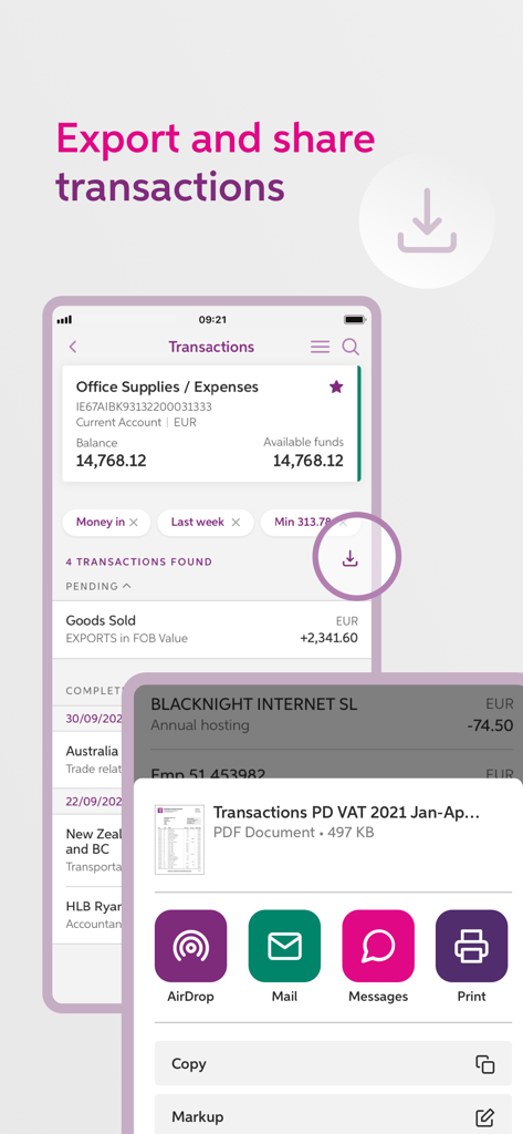 Screenshot of AIB Business iBB app demonstrating the export and share transactions feature with a PDF report and iOS share sheet