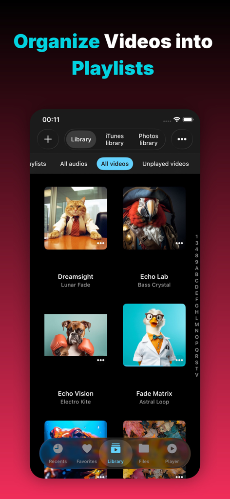 Evervideo: Play Any Video File - Evervideo app media library interface showing videos organized into playlists