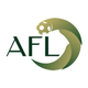 Amateur Football League (AFL)