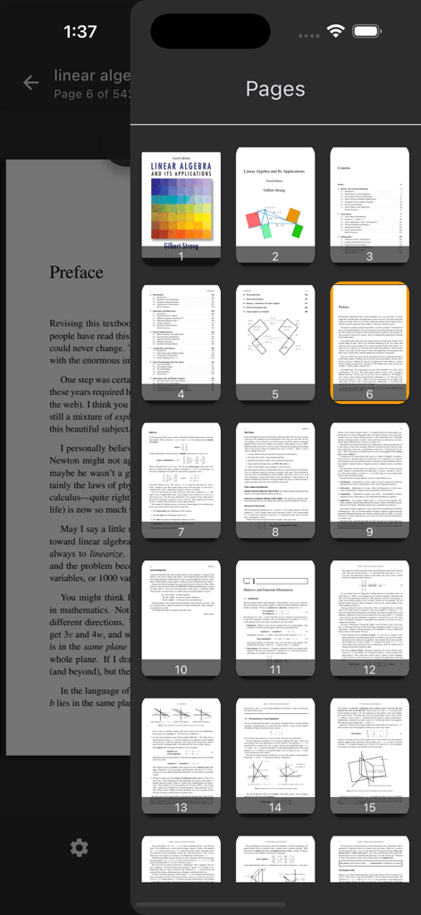 Grid view showing thumbnails of PDF pages for easy document navigation