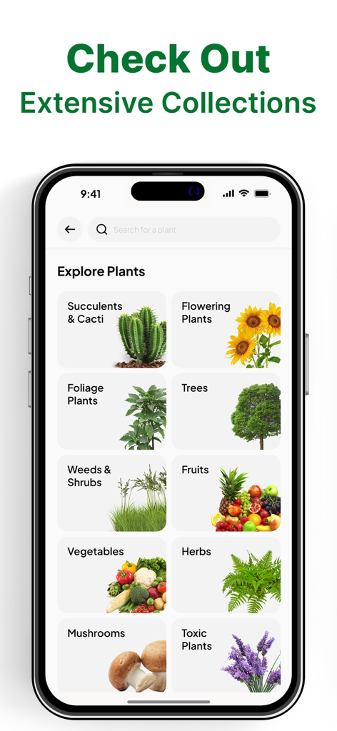 Interface do aplicativo Leafy mostrando várias categorias de plantas para explorar, incluindo suculentas, árvores e vegetais.