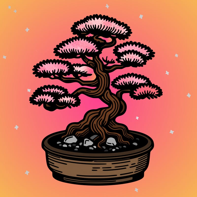 japan bonsai