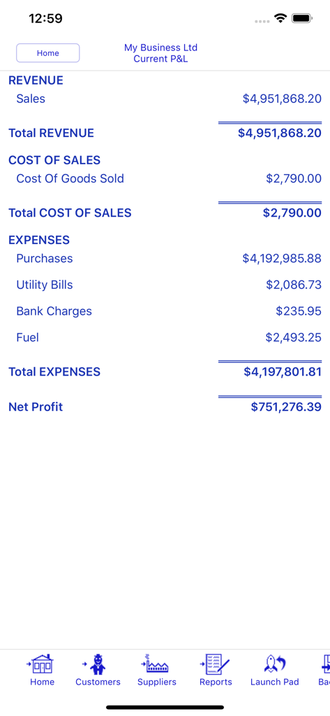 Pantalla de estado de pérdidas y ganancias en la aplicación móvil Bookkeeping Pro que muestra ingresos, gastos y beneficio neto