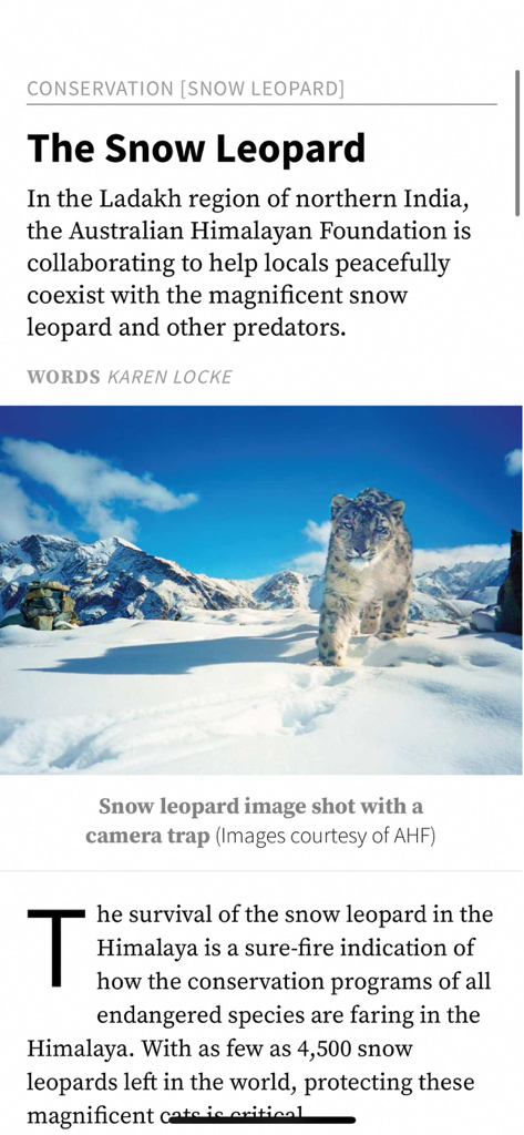 A feature article about snow leopard conservation in Wild magazine with a photo of a snow leopard in a snowy mountain landscape.