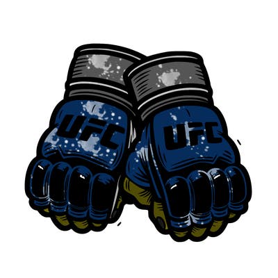 ufc gloves