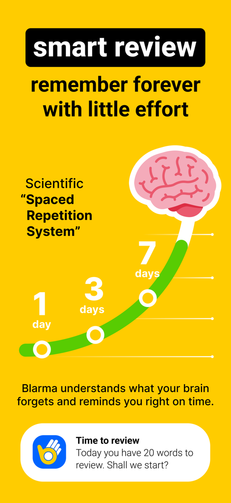 Vocabulary learning app Blarma - Blarma 앱 과학적 간격 반복 시스템을 보여주는 인포그래픽으로, 학습 곡선이 뇌 아이콘으로 이어집니다.