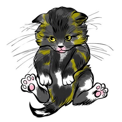 animals_20