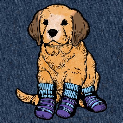 realistic dog with socks on